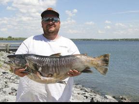Seneca Lake Whopper Brown Trout Is Largest Winner In Derby S 52 Years Sports Fltimes Com