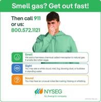 NYSEG