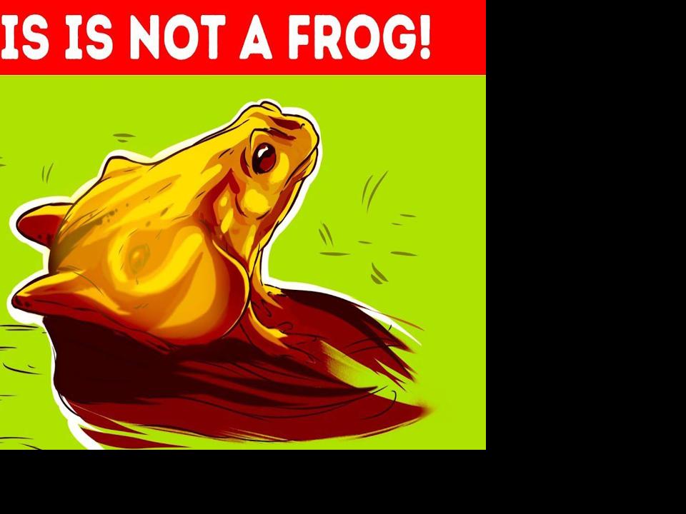 11 Optical Illusions That Ll Reveal Your Personality Type Videos Fltimes Com