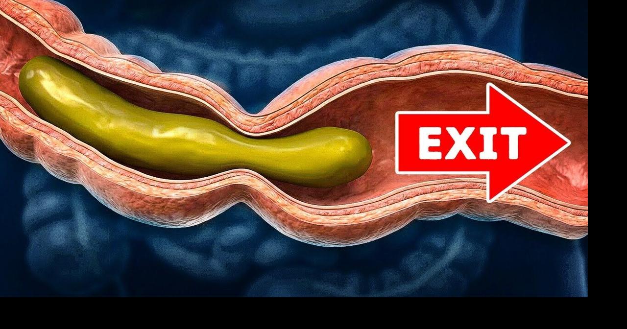 How Your Food Turns Into Poop (And Why Ancient Poop Was Better ...