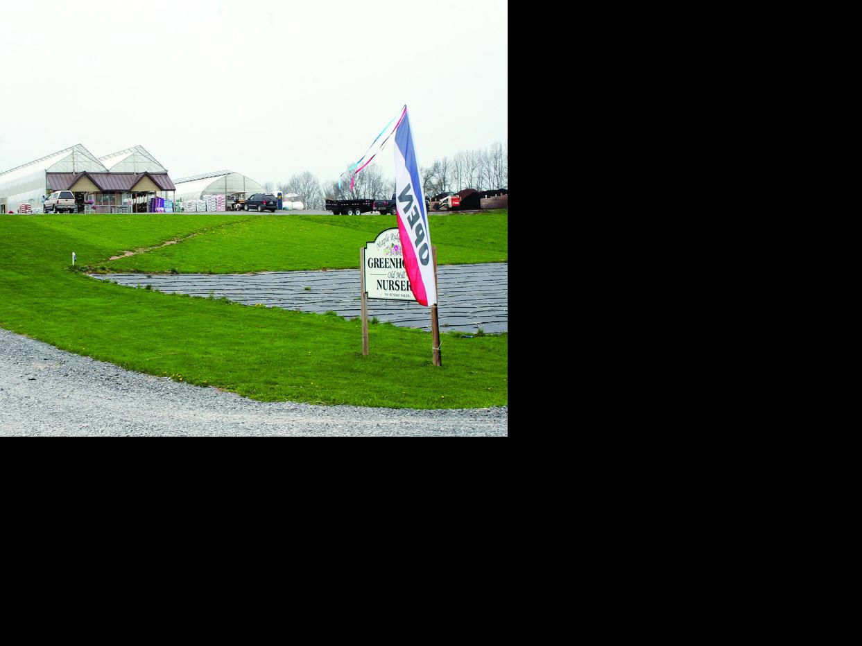 Business Of The Week Maple Ridge Farm Greenhouse And Nursery News Fltimes Com