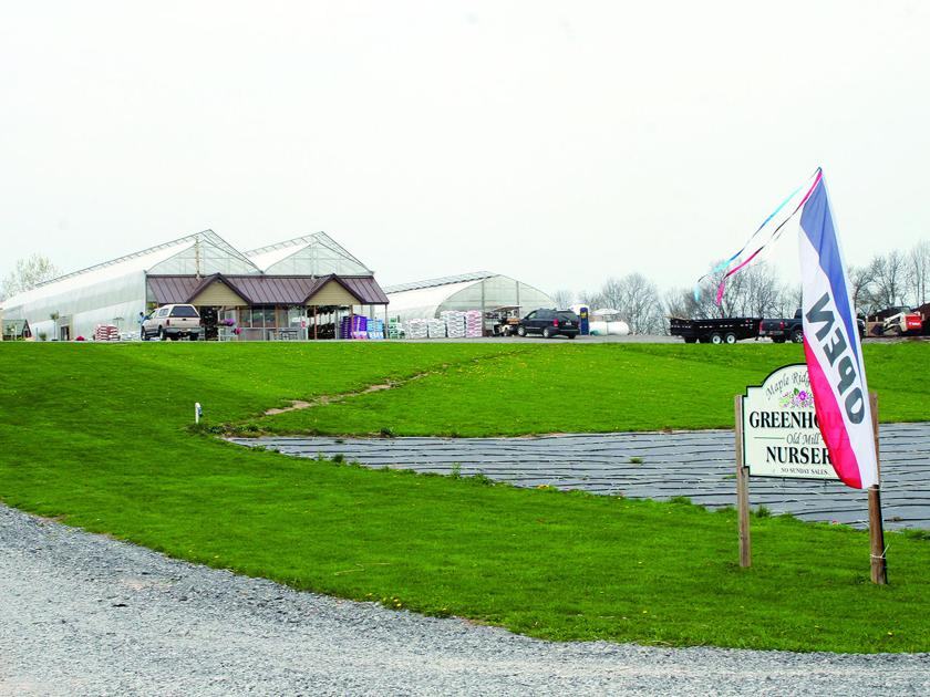 Business Of The Week Maple Ridge Farm Greenhouse And Nursery News Fltimes Com