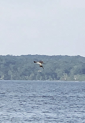 outwell seneca lake chair