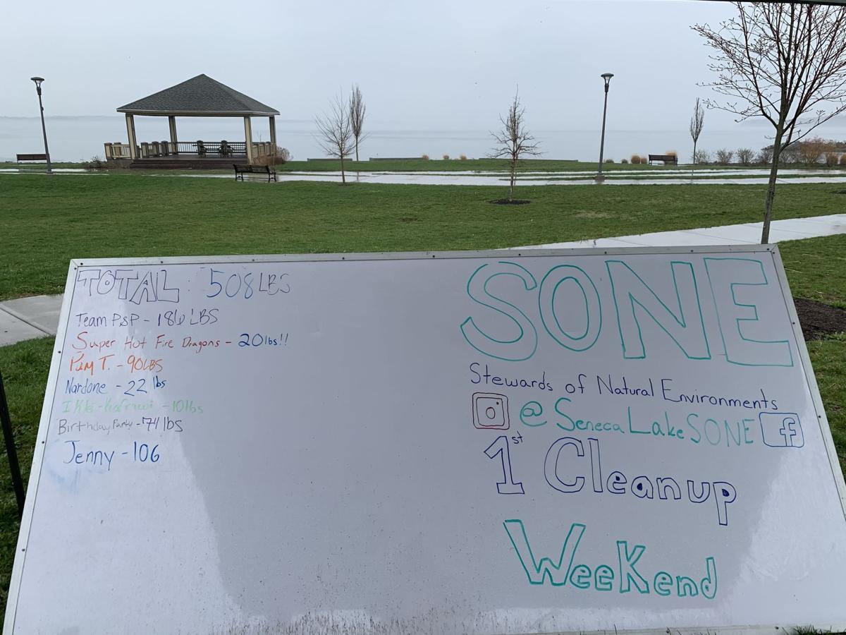 Seneca Lake S Beauty Inspires New Environmental Group News Fltimes Com
