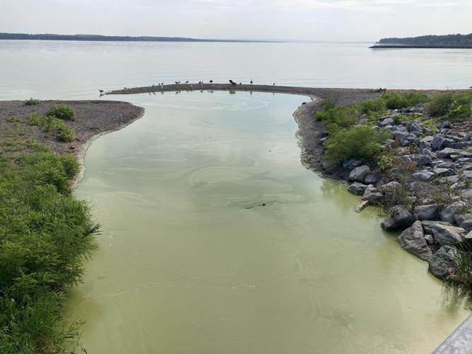 Geneva city officials say algae outbreak not affecting drinking water