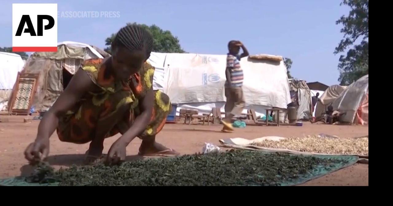 UN food agencies warn acute food insecurity likely to get worse in 17 ...