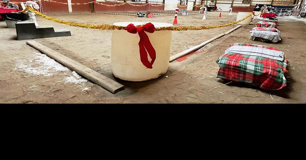 Burdett horse farm hosting pony rides Dec. 24 Arts And Entertainment