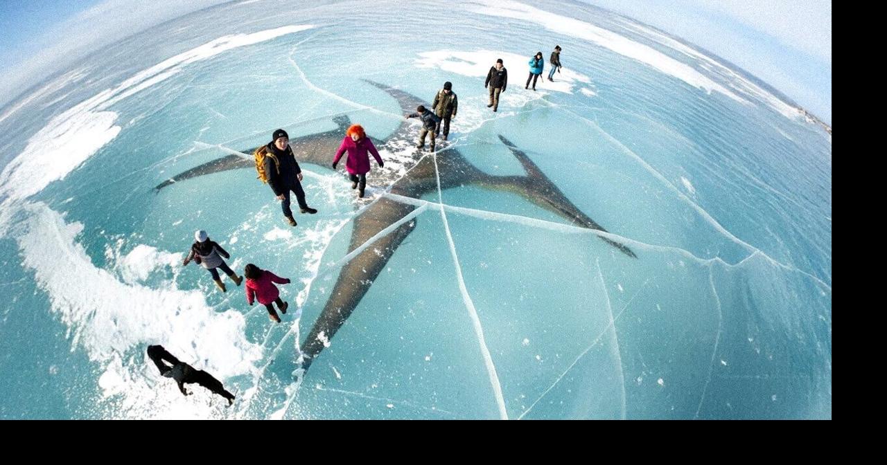 Prehistoric Monster Found Frozen and Other Amazing Discoveries in Ice ...