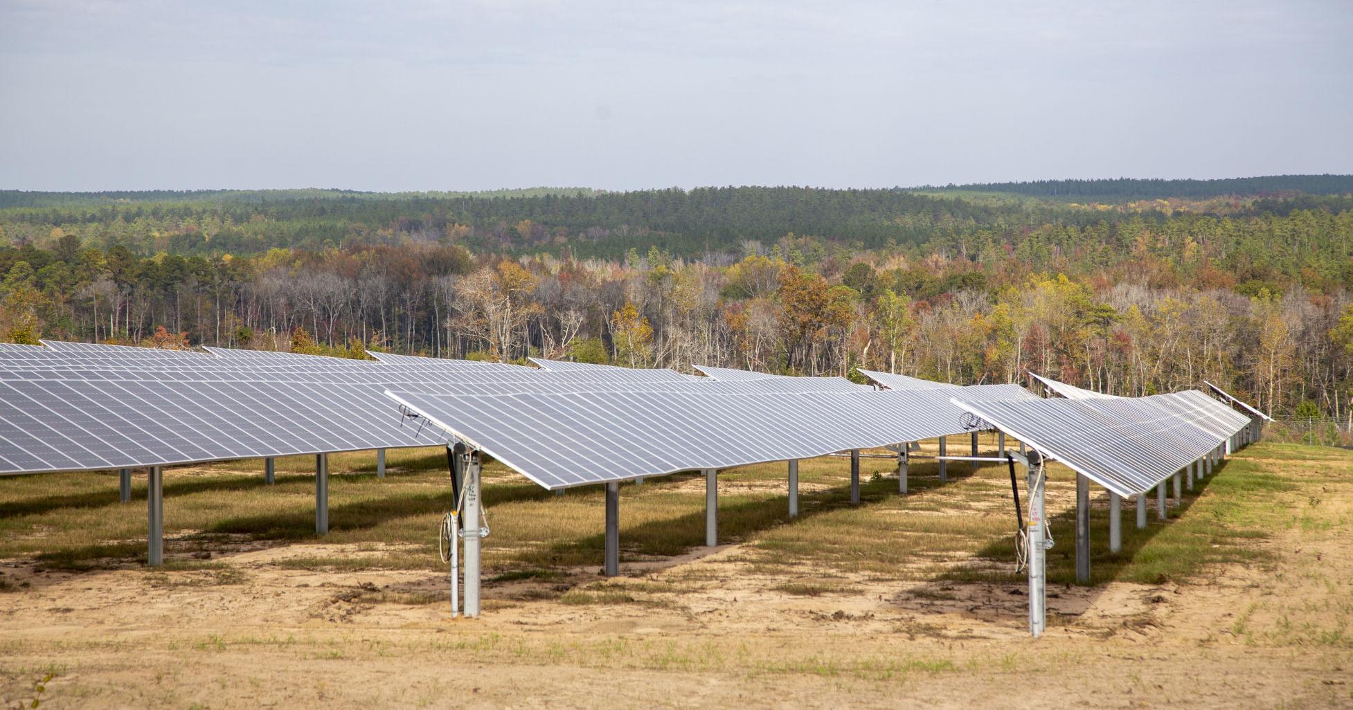 Trelina Solar seeks water quality certificate for Waterloo project - Vimarsana News
