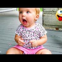 Silly Countdowns Countdown The Funny | Funniest Top 10 Countdowns | | fltimes.com