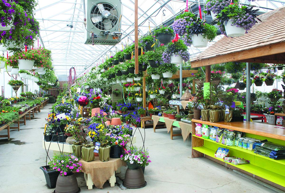 BUSINESS OF THE WEEK Maple Ridge Farm Greenhouse and Nursery News