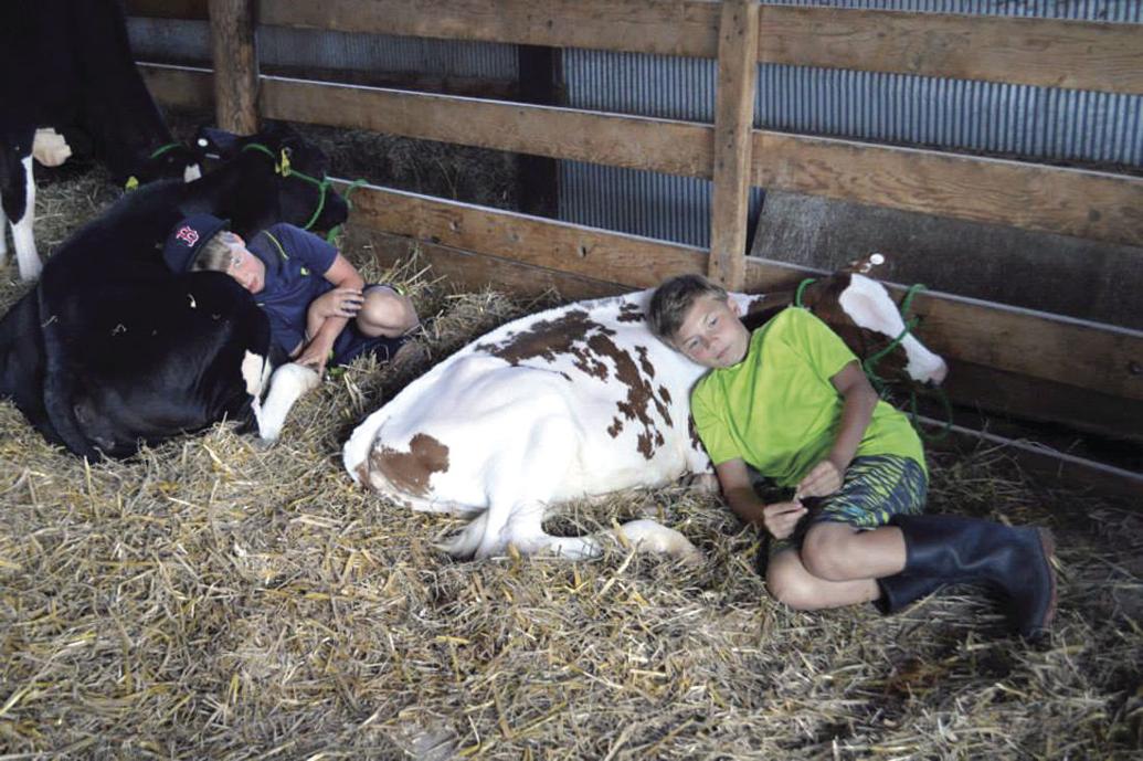 Ontario County Fair begins Tuesday and runs through July 30 News