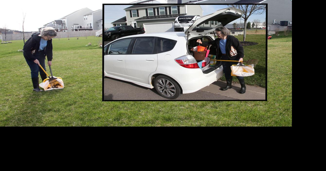 BIGGER PICTURE A professional pooperscooper News