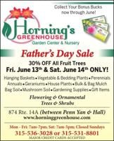Horning's Greenhouse