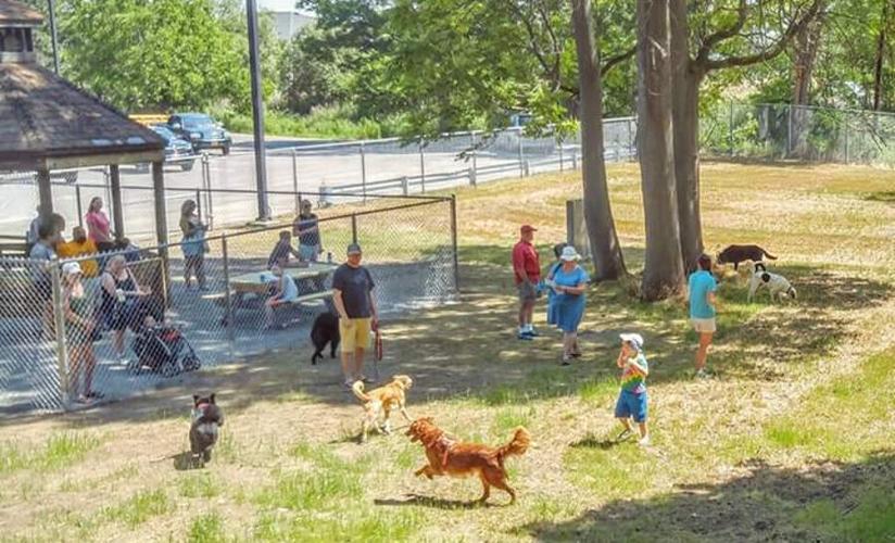 Bark in the Park - Old City Park