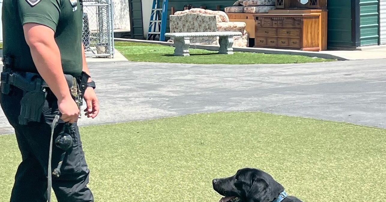 FUSD has new Police Canine Narcotic and Firearm Detection Unit - Vimarsana News