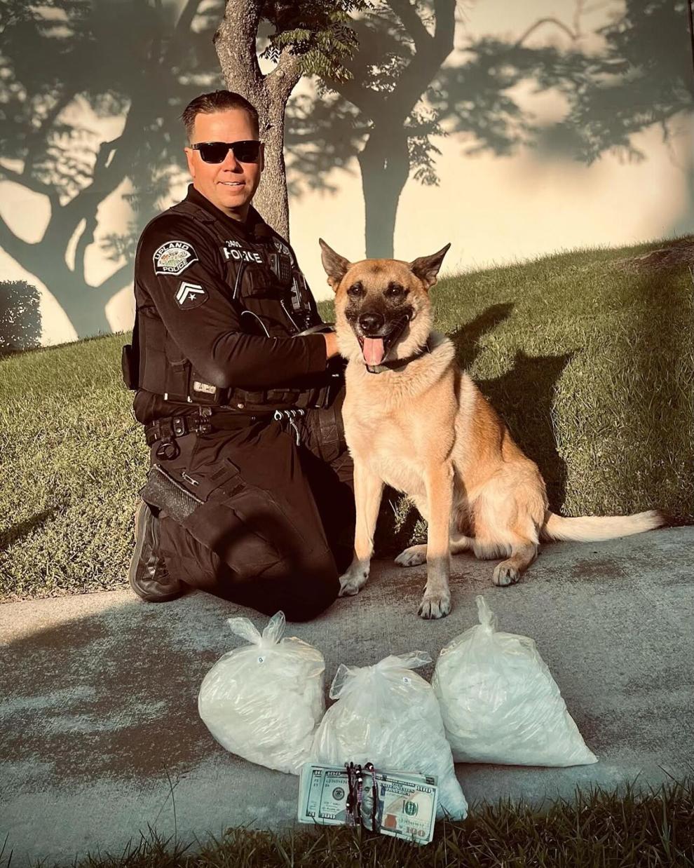 Police dog assists officers with seizure of methamphetamine | Inland ...