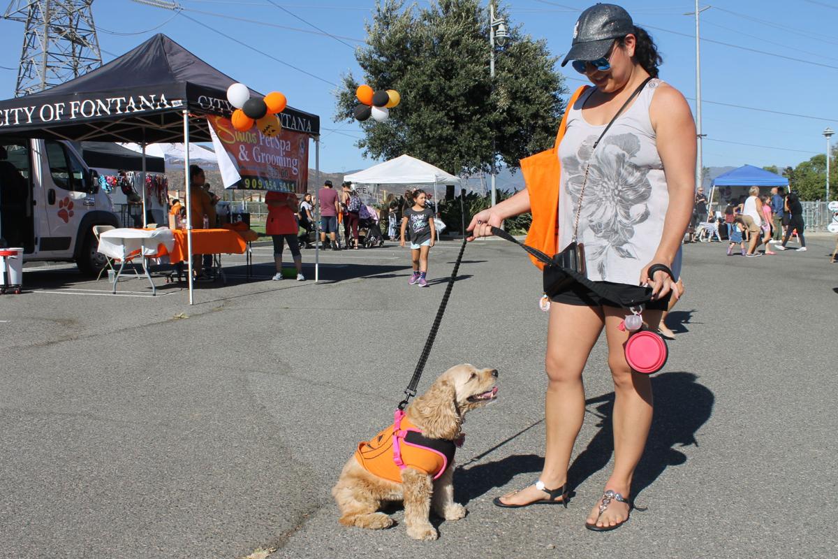 Humans and dogs celebrate Halloween at Fontana Park; see photos