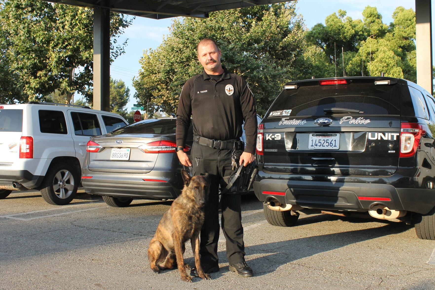 Fontana's new police dog makes his debut News