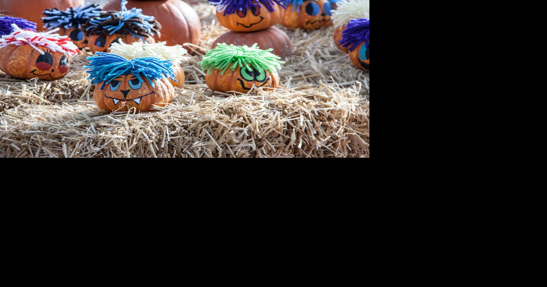 Arts & Events: Event Calendar