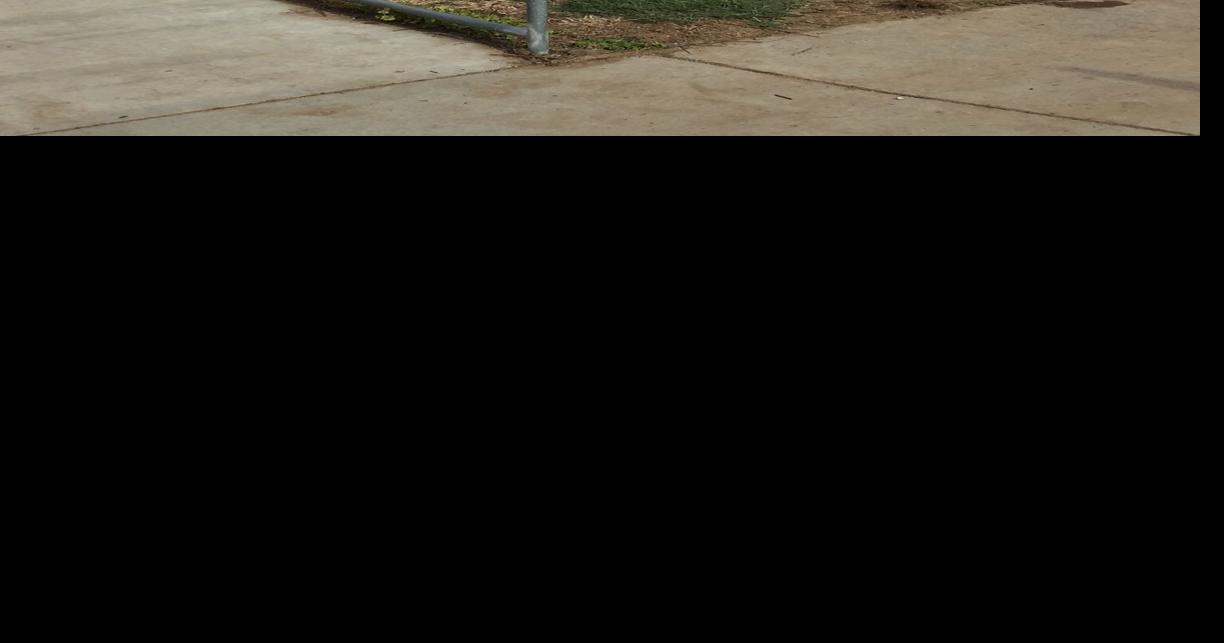 Mango Elementary School gets new reading garden thanks to grant funds