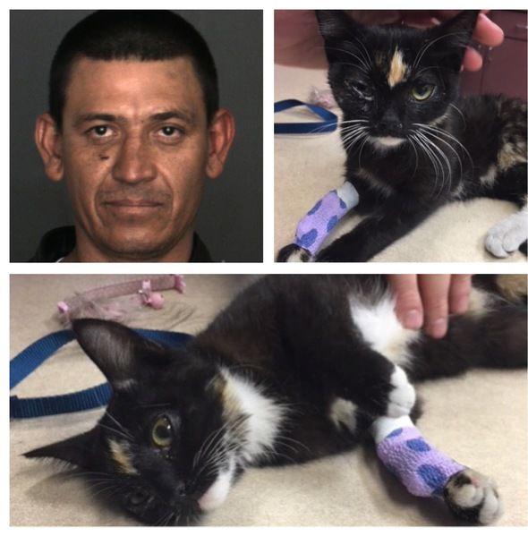 Fontana Man Is Arrested On Animal Cruelty Charge After Allegedly