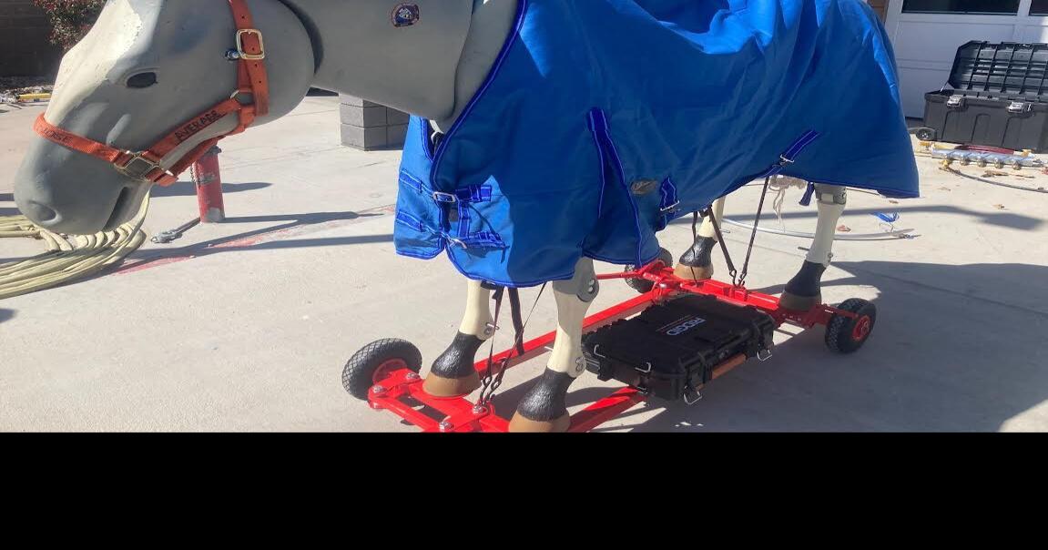 San Bernardino County Fire Department creates Large Animal Rescue Team