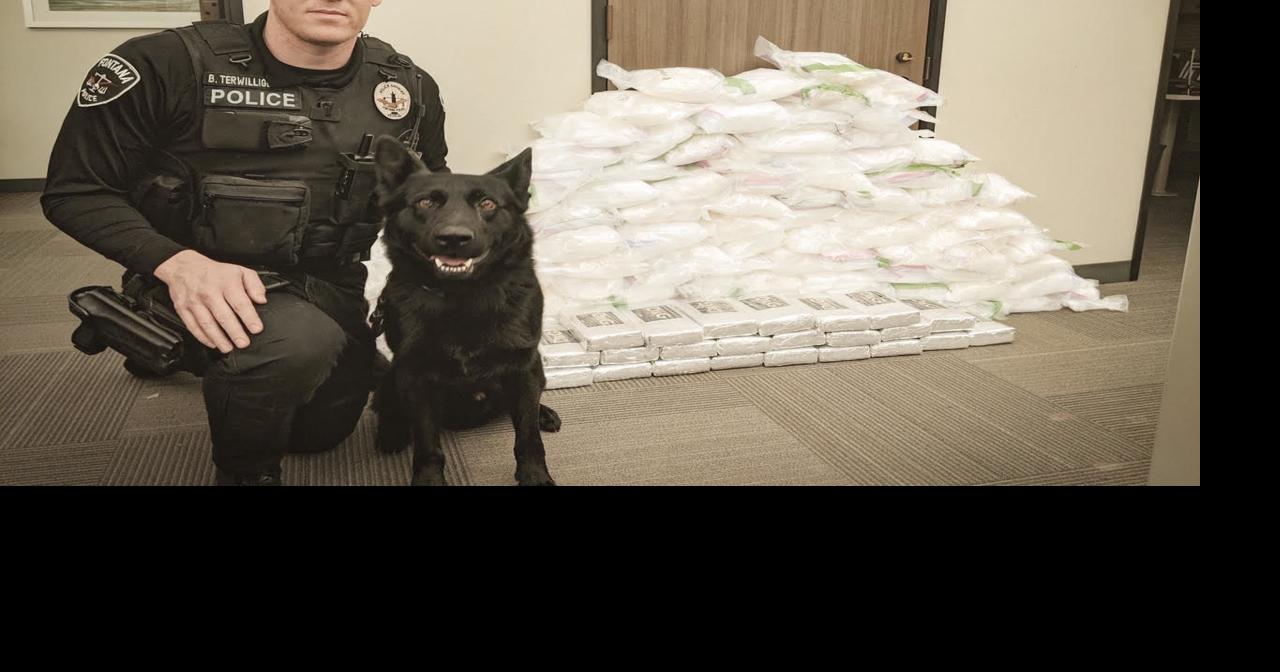 Police confiscate 336 pounds of meth and 24 kilos of cocaine during ...