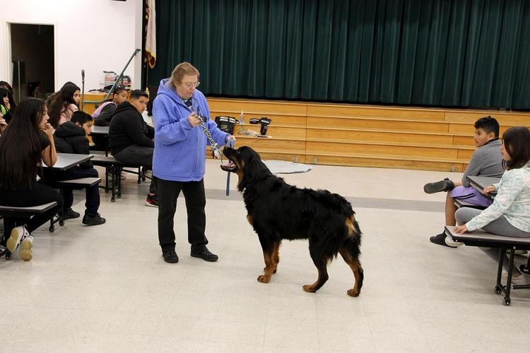 Michael D’Arcy Elementary School in Fontana holds Career Day Business