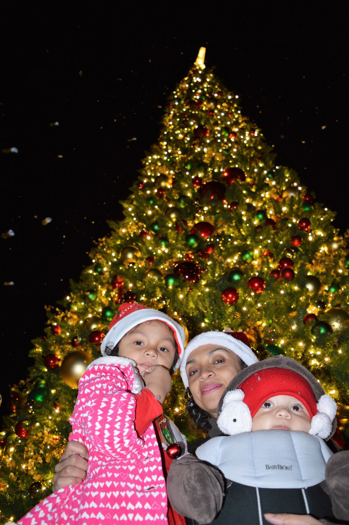 Hundreds enjoy Tree Lighting Ceremony in Fontana; see photos News