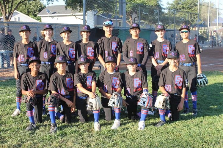 American Little League All-Star team wins district title - The Sun  Newspapers