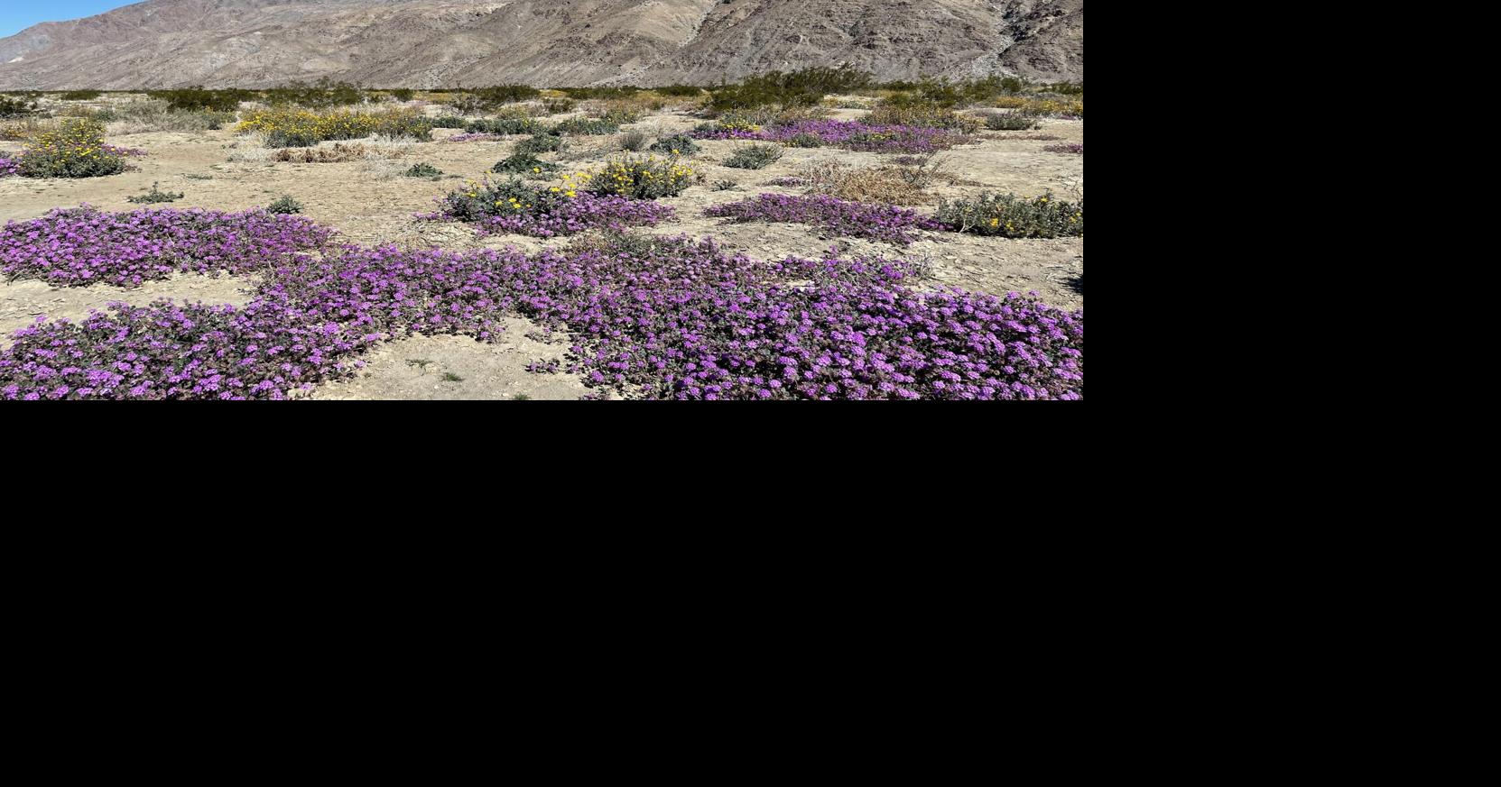 Nominate your favorite state park in California