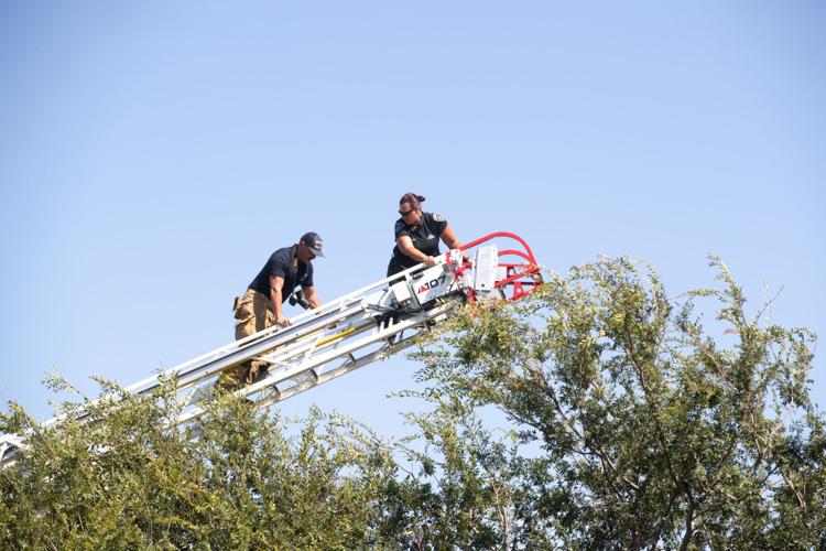 Authorities investigate after body is found in tree near medical center