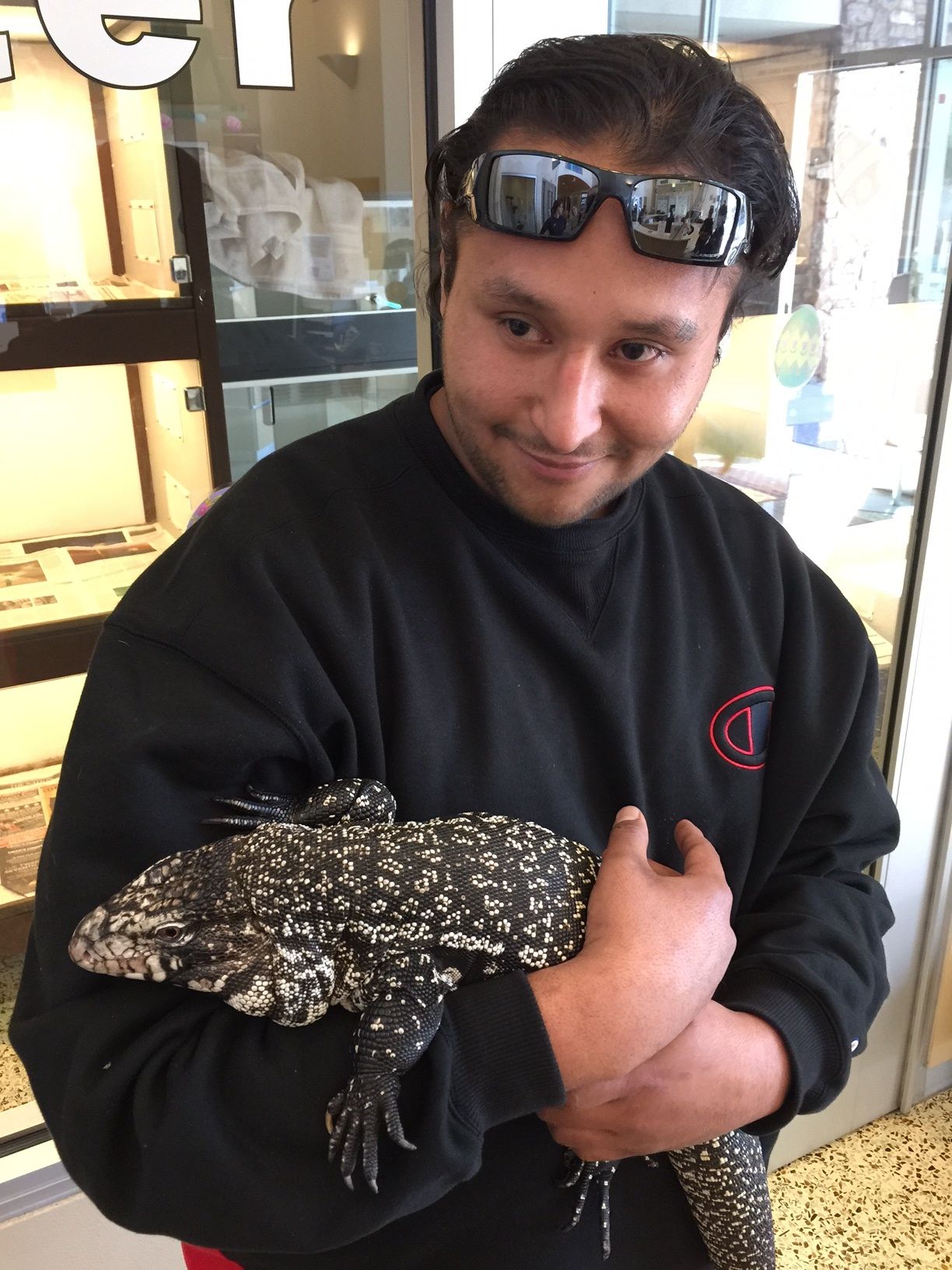 tegu pet
