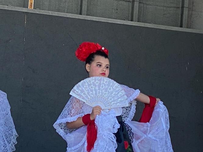 "Fun in the Sun" 2023 Fontana Days Festival concludes on June 4