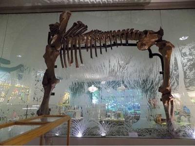 Ice age visitor center officially opens in Tualatin
