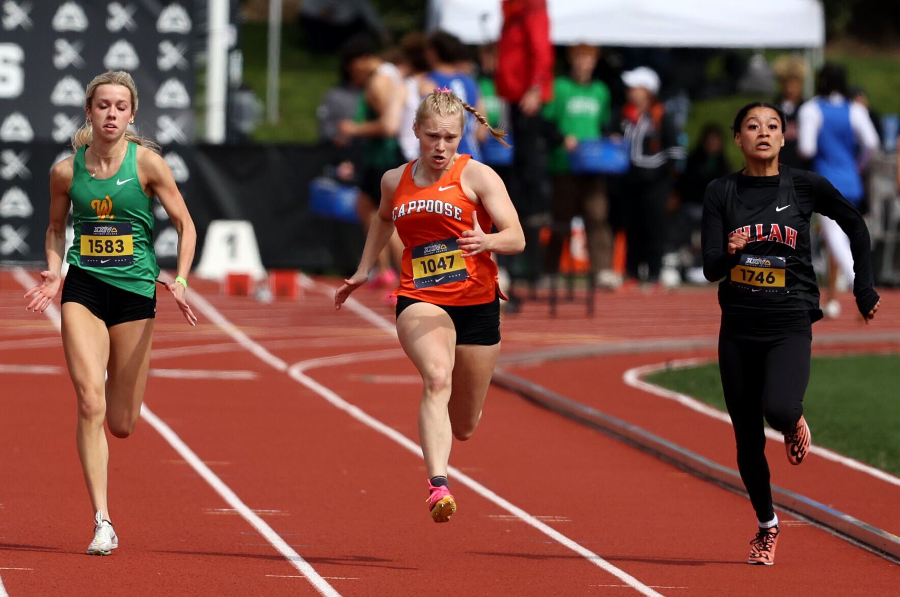 Jesuit twilight relays online