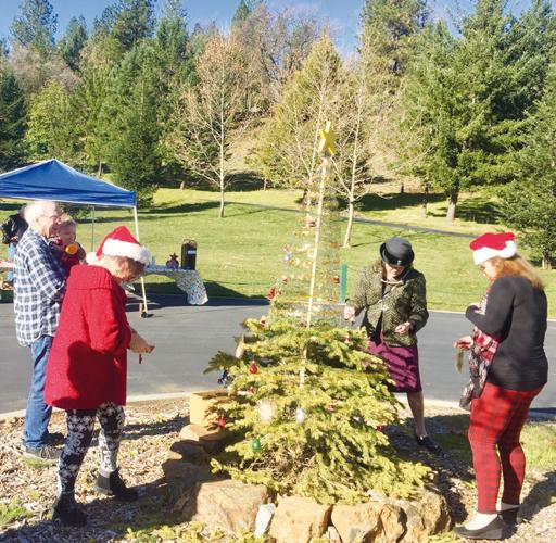 Monte Verde Estate Holiday Tree Celebration Local News
