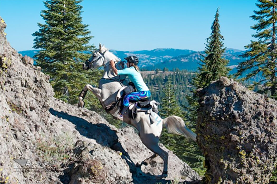 Tevis 100 Mile One-Day Trail Ride Coming Thru Foresthill | News ...
