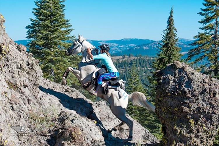 Tevis 100 Mile OneDay Trail Ride Coming Thru Foresthill News