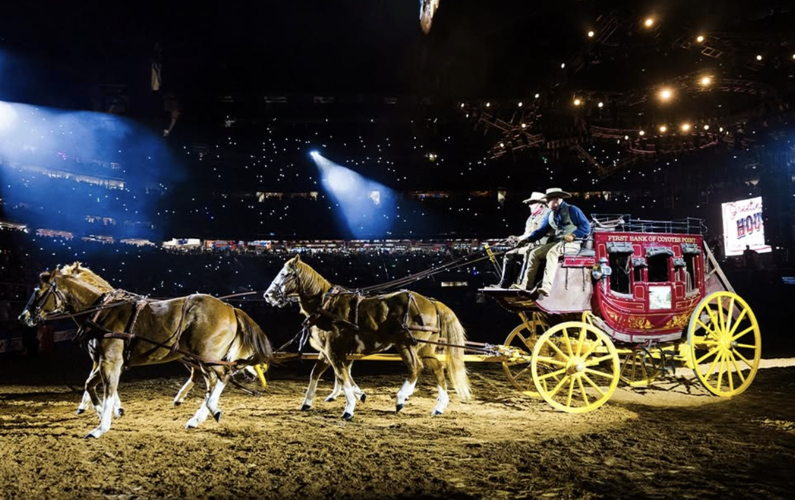 What Black Houston Deserves from Rodeo Houston and the Tourism Surge ...