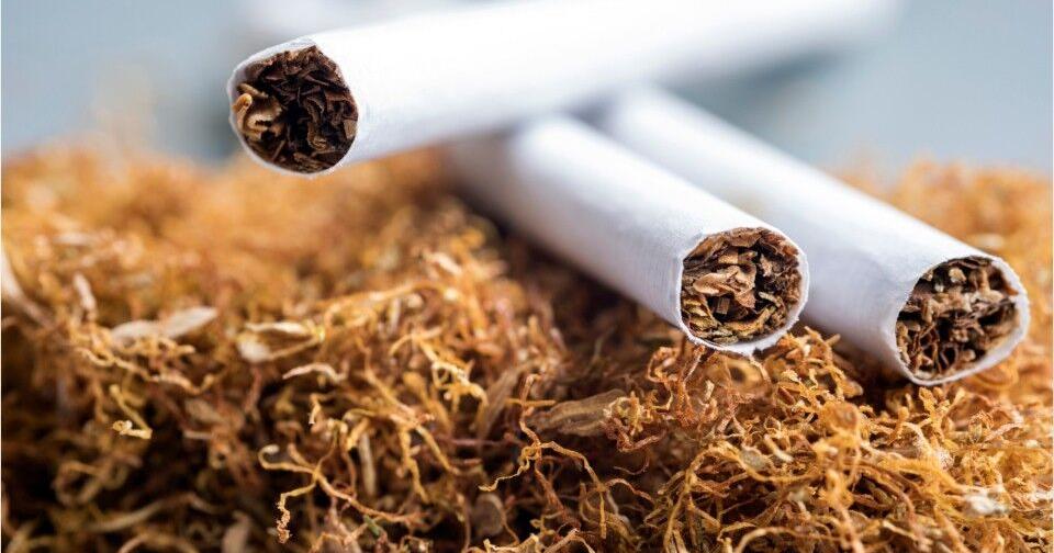 did paul murdaugh smoke cigarettes Alex Murdaugh: Power, privilege, murder and the downfall of a dynasty Alex Murdaugh trial: How Paul