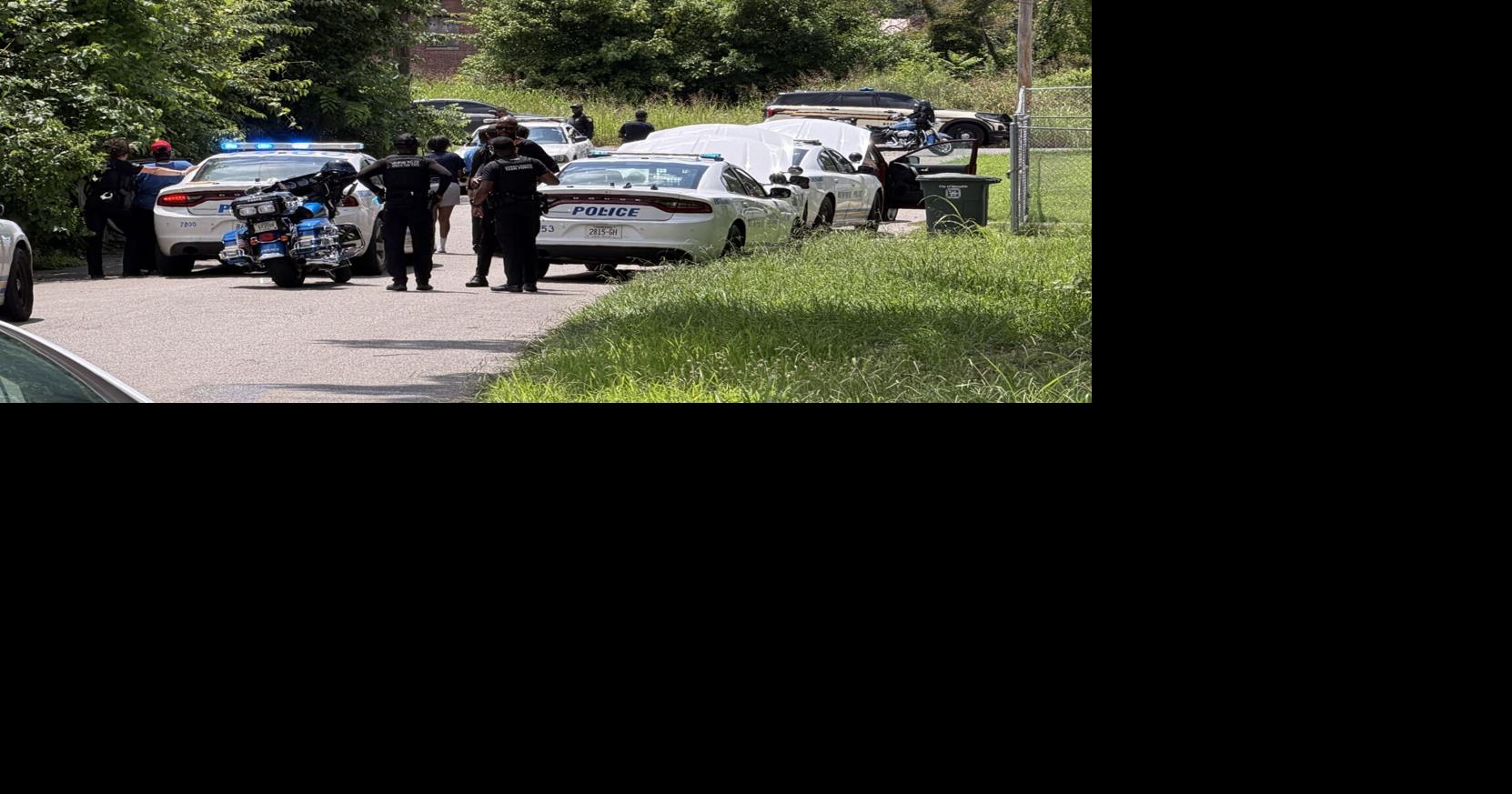 Assault News Image