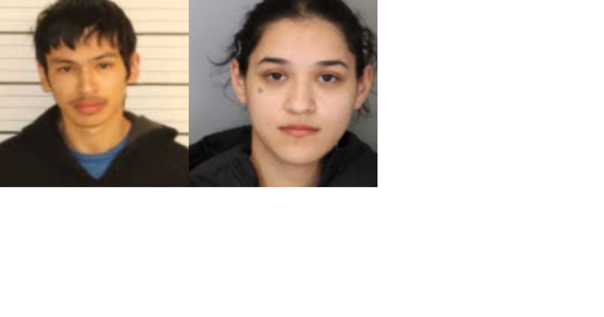 Two teenagers break into over 20 cars in 3 days | News | fox13memphis.com