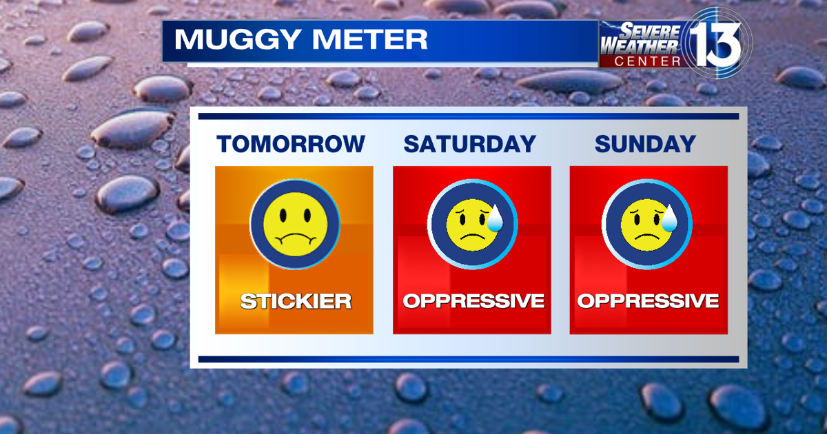 71124 Muggy Meter