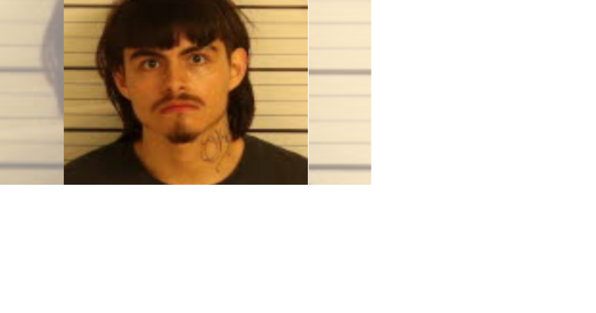 WATCH: Suspect charged with first-degree murder in deadly quadruple ...