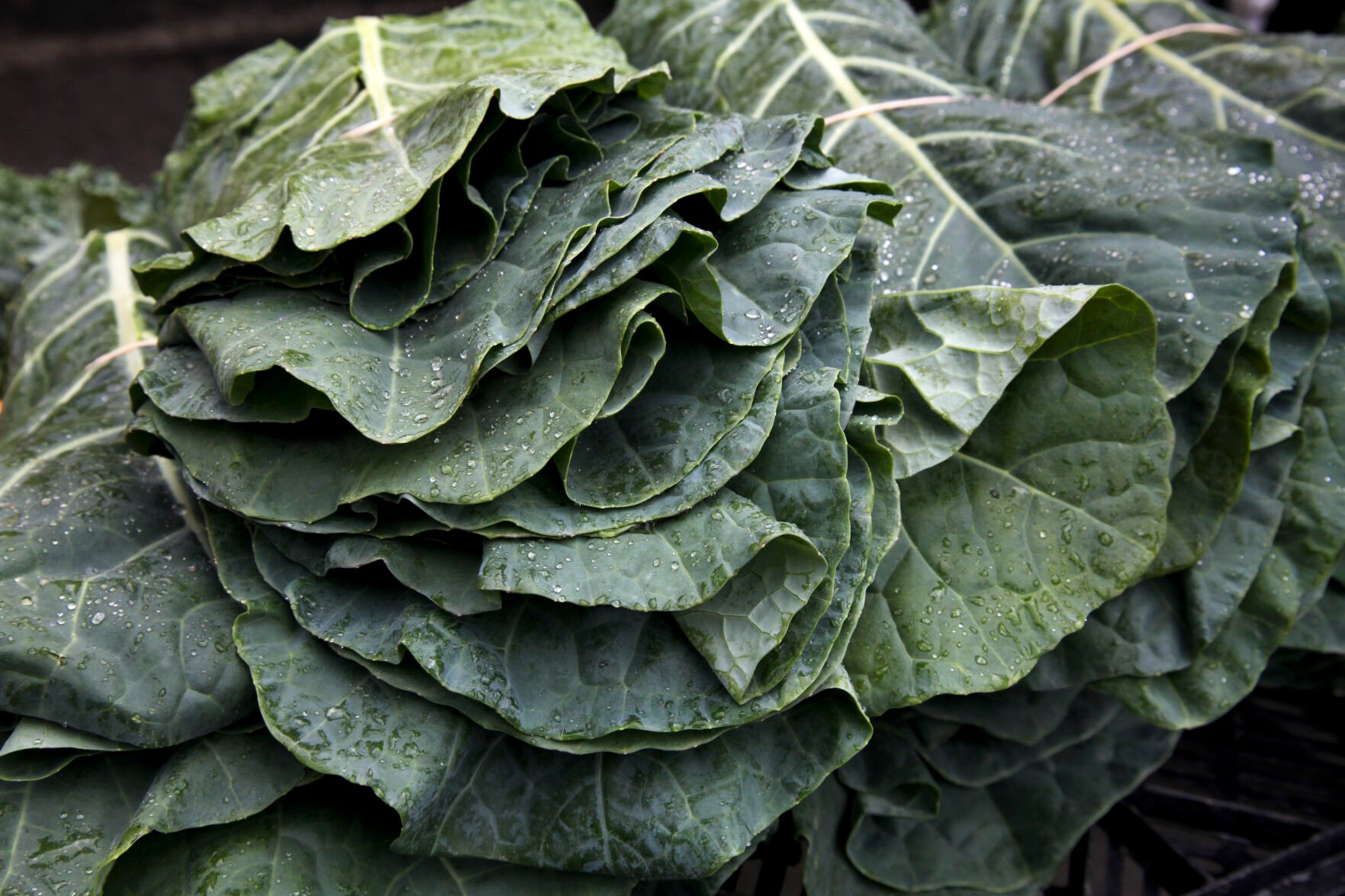 Kroger Collard Greens Recalled After Listeria Found In Bag Bought In ...