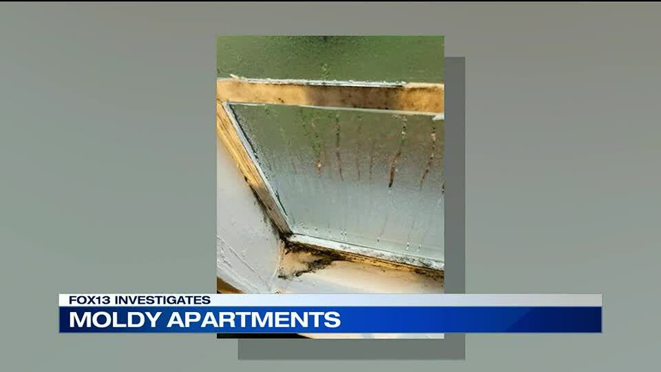 Tenants say bugs, mold are getting worse at Mt. Juliet apartment