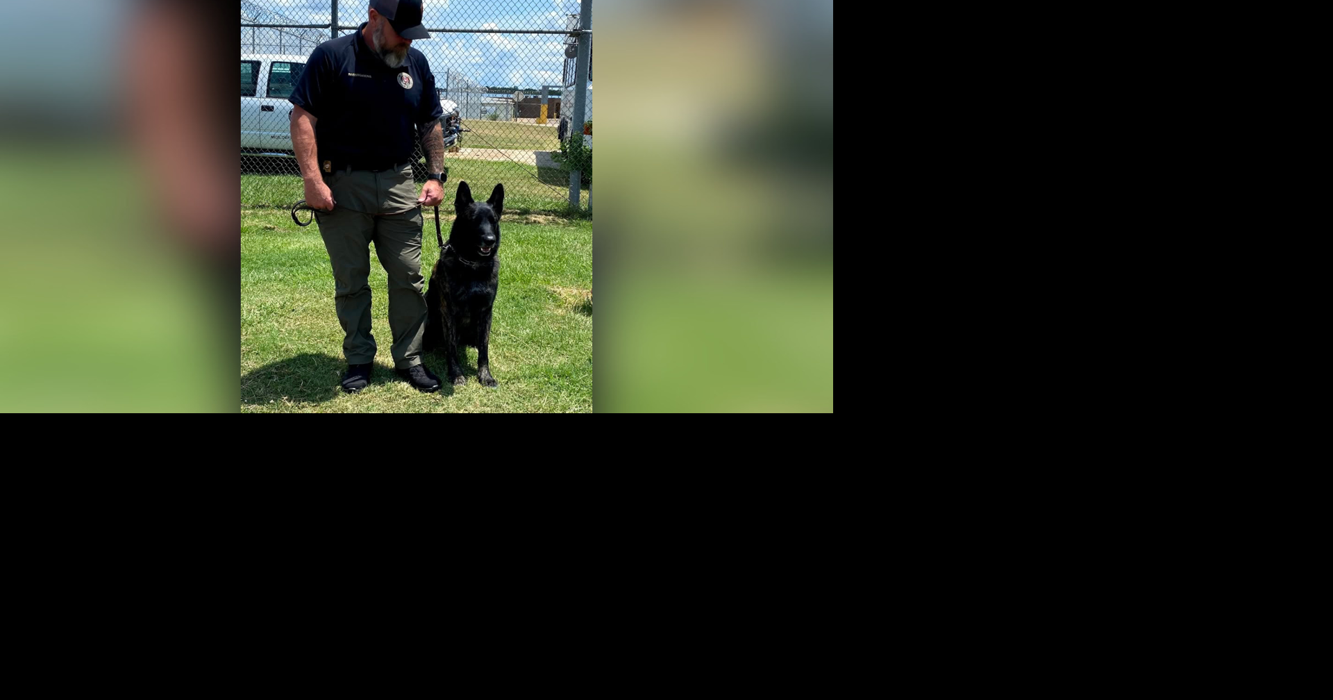 K-9 that helped secure north Mississippi prison shot dead, officials say