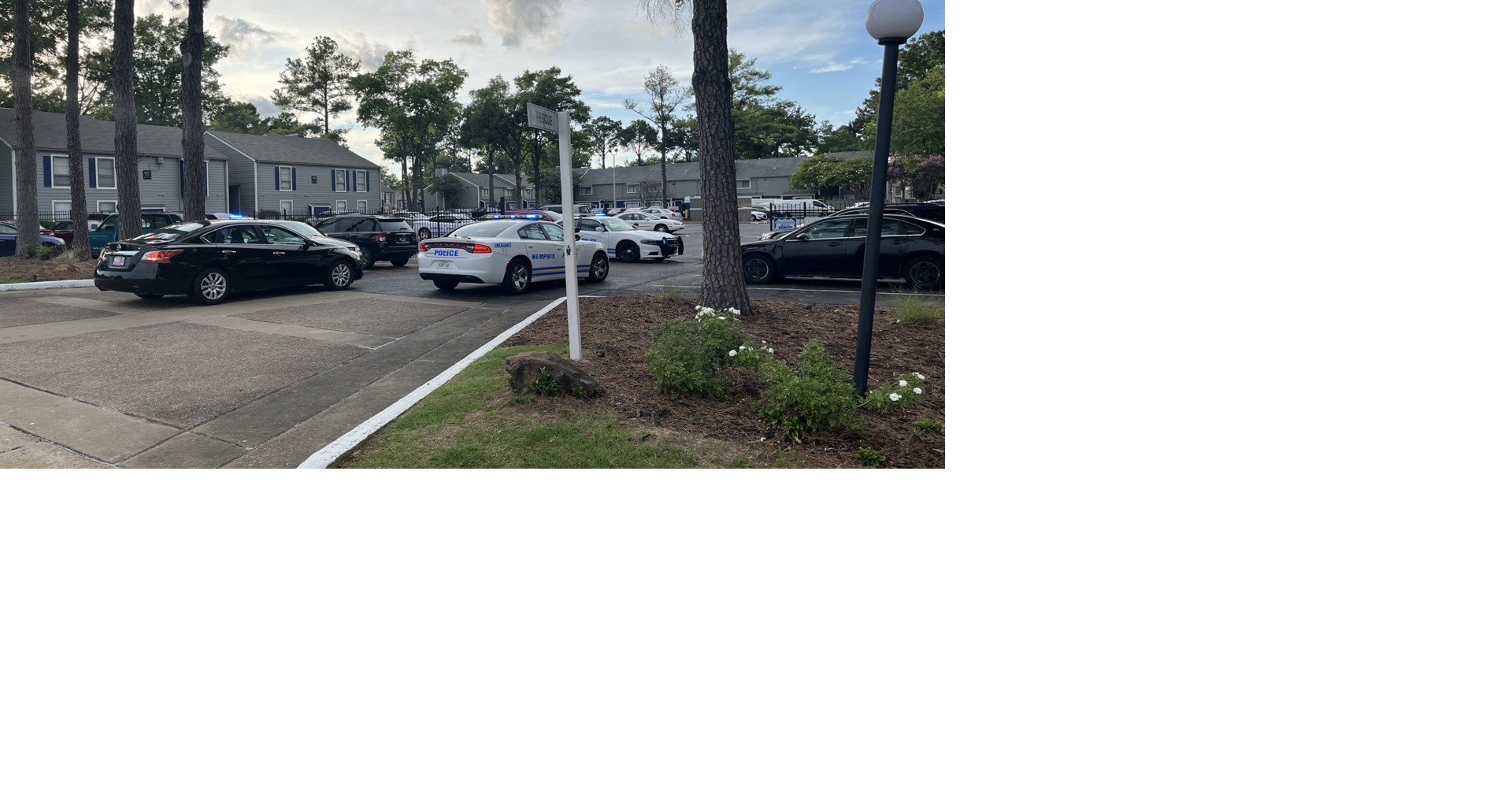 15yearold shot and killed in Hickory Hill neighborhood, MPD says News